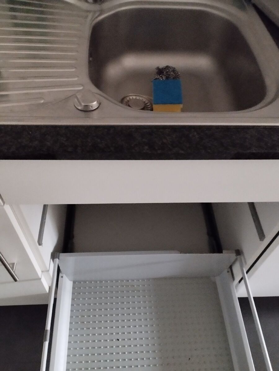 souris-rongeur-mulot-rats