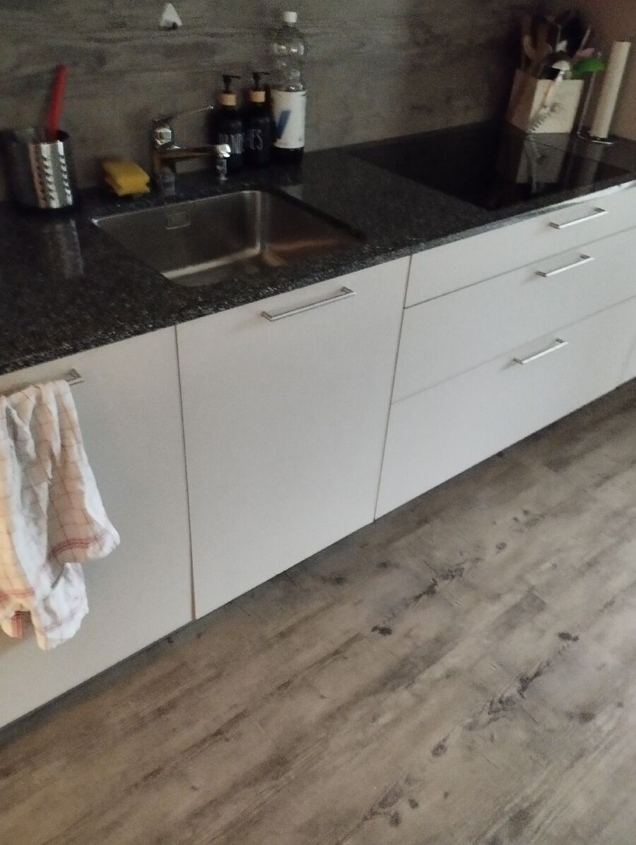 souris-rongeur-mulot-rats