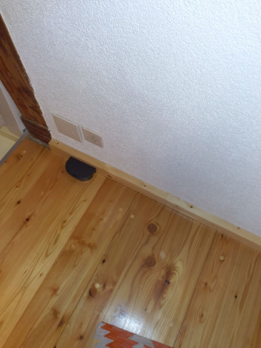 souris-rongeur-mulot-rats