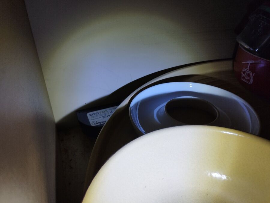 combattre-rats-ratton-rongeur-mulot