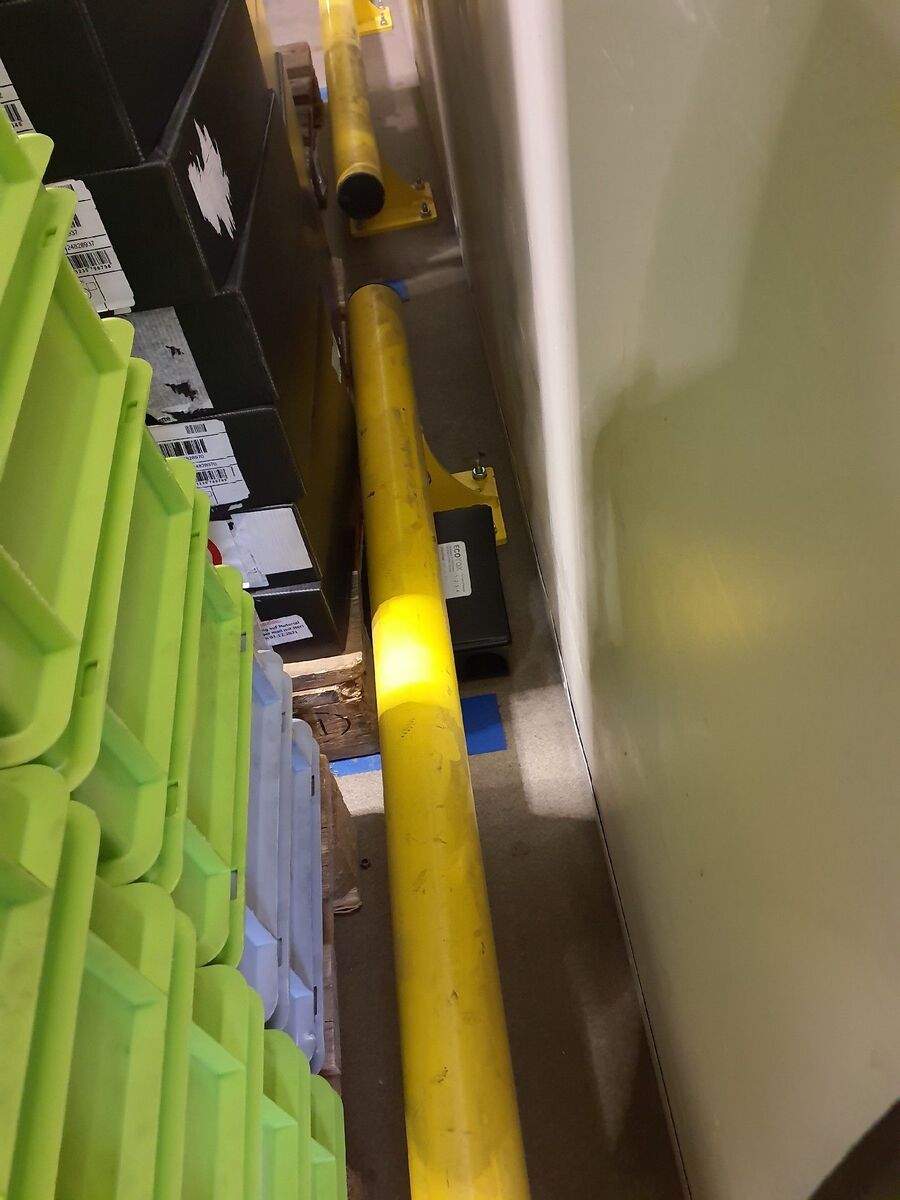 souris-rongeur-mulot-rats