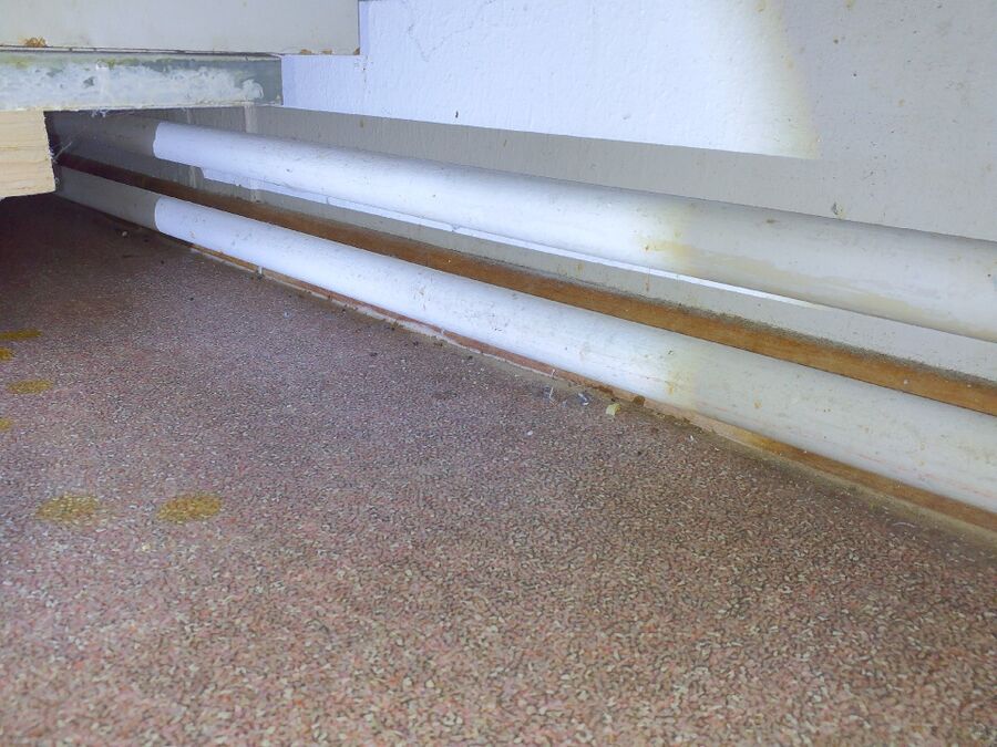 combattre-rats-ratton-rongeur-mulot