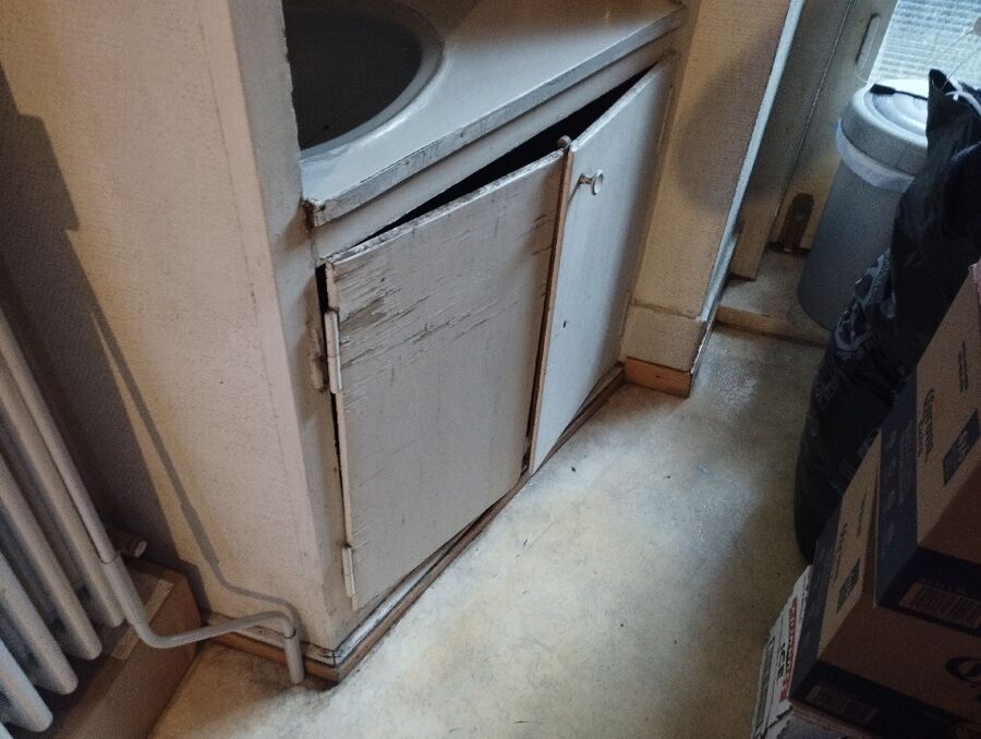 ratton-rats-rongeur-souris-deratiseur