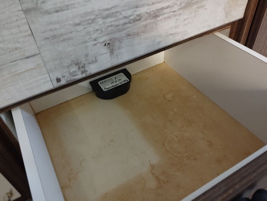 ratton-rats-rongeur-souris-deratiseur