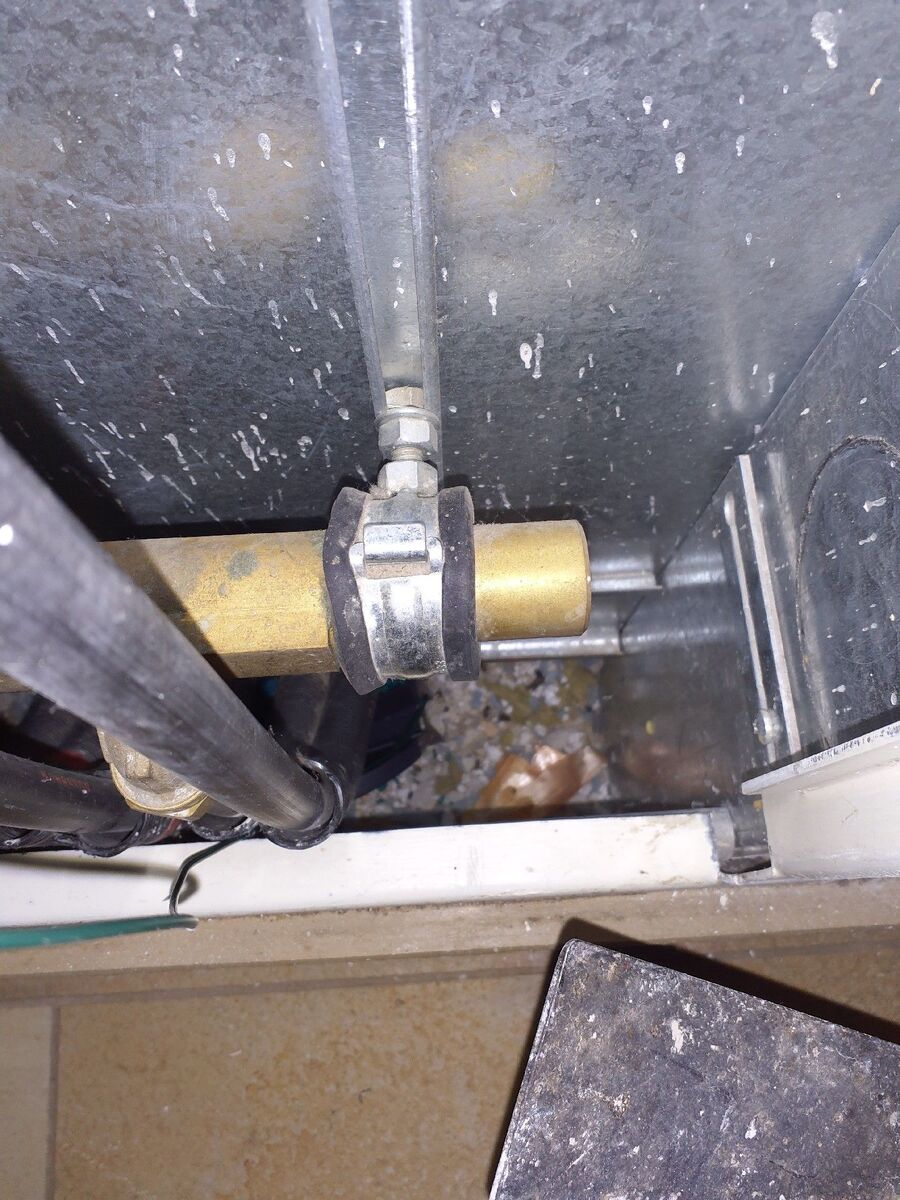 combattre-rats-ratton-rongeur-mulot