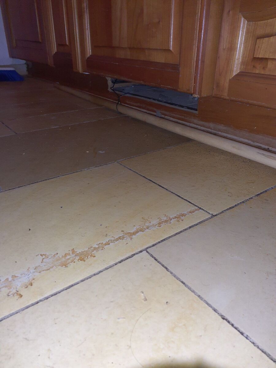 lutte-mulot-rats-rongeurs-souris