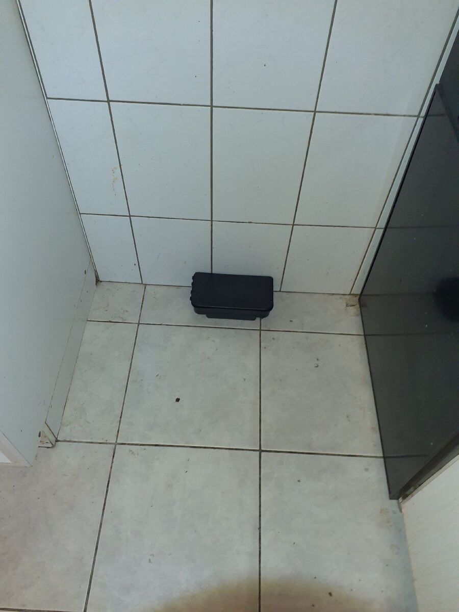 ratton-rats-rongeur-souris-deratiseur