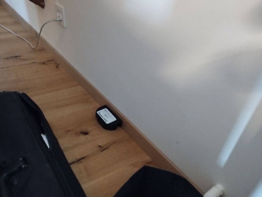 combattre-rats-ratton-rongeur-mulot