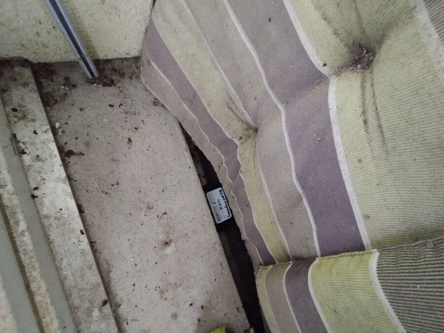 combattre-rats-ratton-rongeur-mulot